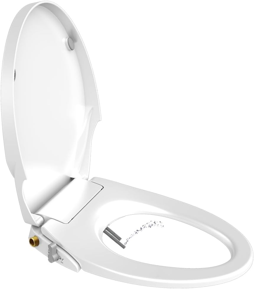 Toilet Seat with integrated cold water bidet